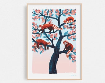 Red Pandas, Animal Poster, A4 or A3 Artists Print