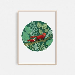 Red Panda Cub, Botanical Art Print, Cute Print, Housewarming Gift, A4 or A3 Artists Print image 1