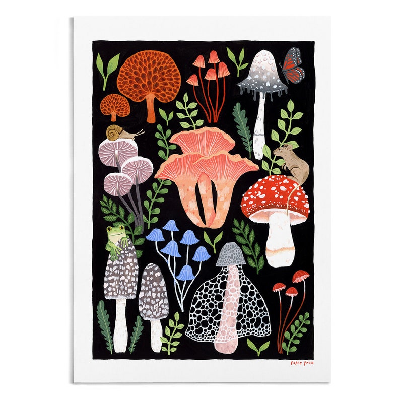 Mushrooms, Botanical Art Print, Mushroom Decor, Housewarming Gift, A4 or A3 Artists Print image 2