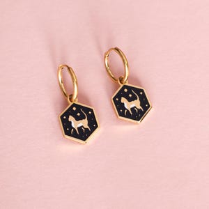 Mini créoles hexagonales chat