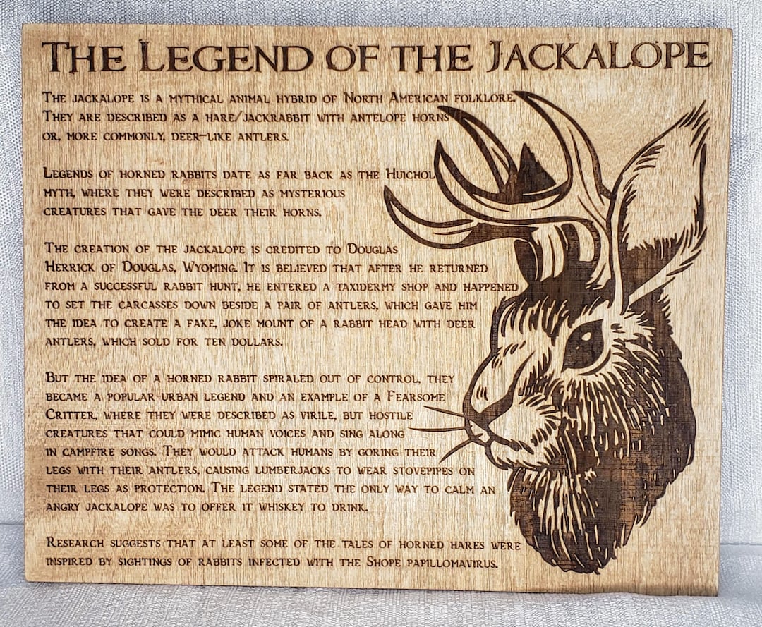 The Legend of the Jackalope Etsy