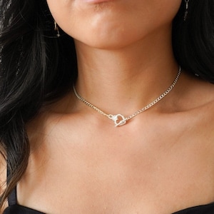 May include: A silver chain necklace with a toggle clasp. The necklace is worn by a person with long black hair and a black top.