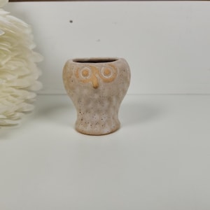 May include: A small, speckled beige ceramic planter shaped like an owl. The vessel features a rounded body, a wide opening at the top, and two circular, light-colored etched eyes with a central beak detail on the front surface of the textured clay.
