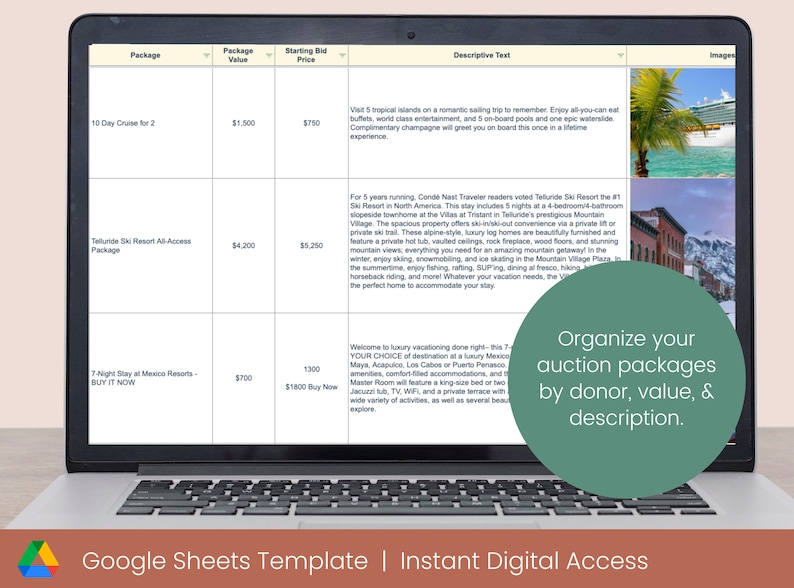 May include: A Google Sheets template on a laptop screen for organizing auction packages by donor, value, and description. The template includes columns for package value, starting bid price, and descriptive text. The image shows three auction packages: a 10-day cruise for two, a Telluride Ski Resort all-access package, and a 7-night stay at a Mexico resort.