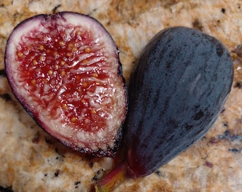Puede incluir: Un higo fresco, cortado por la mitad para revelar su vibrante interior rojo salpicado de pequeñas semillas, junto a un higo entero. La piel es de un tono púrpura oscuro, con un tallo verde. La fruta descansa sobre una superficie moteada de color marrón claro.
