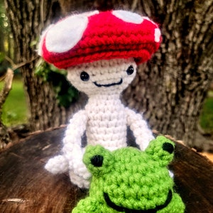 Made to order Mushroom Fairy with toad crochet plush cryptid goblincore