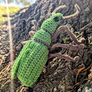 May include: A handmade crochet insect in shades of green and brown rests on a tree trunk. The insect has a segmented body, six legs, and curved antennae. The crochet work is detailed, with visible stitches and texture.