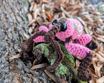Made to order Crochet Weevil Plush Toy: Pink Australian Aclees Porosus, Amigurumi Insect