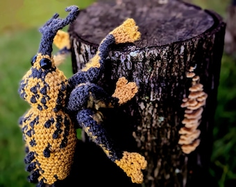 Made to order Crochet Weevil Plush Toy: Brazilian Ozopherus Muricatus, Amigurumi Insect
