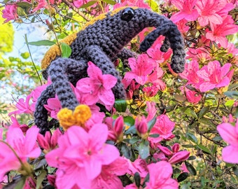 Made to order Crochet Bark Weevil Plush: Funny Amigurumi Insect Toy