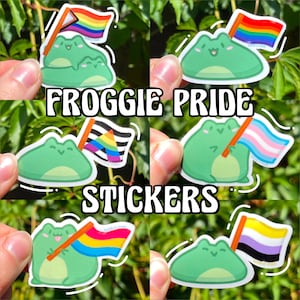 LGBT Pride Kikkerstickers | Gay Biseksueel Lesbisch Trans Panseksueel Non Binary Ace Rainbow LGBTQIA+ | Laptop sticker, auto sticker