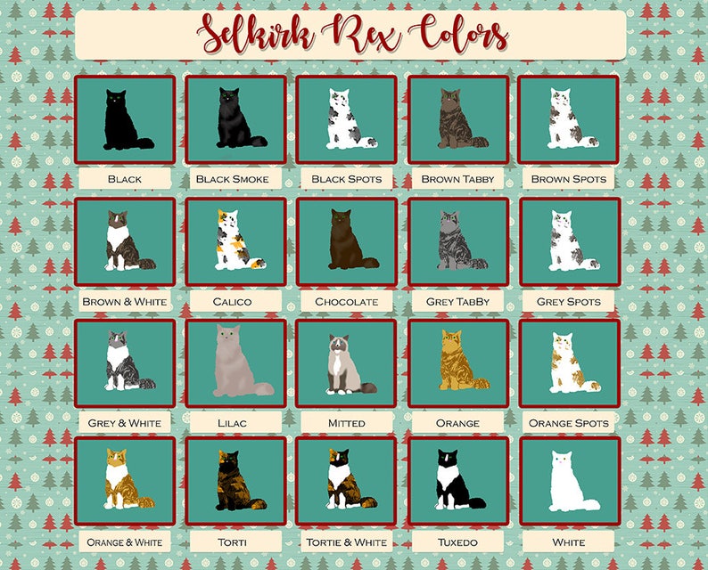 Kitchen Decor Cat Lady Cat Lover Gift Cat Pot Holder Selkirk Rex Pot Holder Cat Mom Selkirk Rex Decor Gifts under 20 Crazy Cat Lady