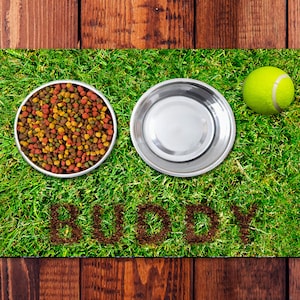 Puede incluir: Una alfombra de hierba verde para perros con dos cuencos de acero inoxidable, uno lleno de comida para perros, y una pelota de tenis amarilla. La palabra "Buddy" está escrita en la hierba.