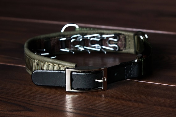 Concealed prong collar sales