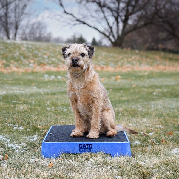 Balance Board / Place Table