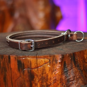 3/4&quot; Latigo Slip Collar by Leerburg