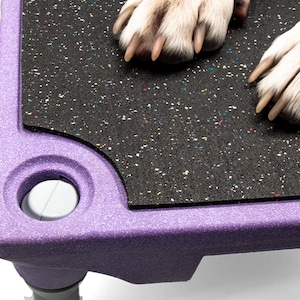 Puede incluir: Cama para perro de color morado con una parte superior de goma negra y una perilla de pl&aacute;stico blanco. La cama tiene una superficie texturizada y est&aacute; dise&ntilde;ada para mascotas.