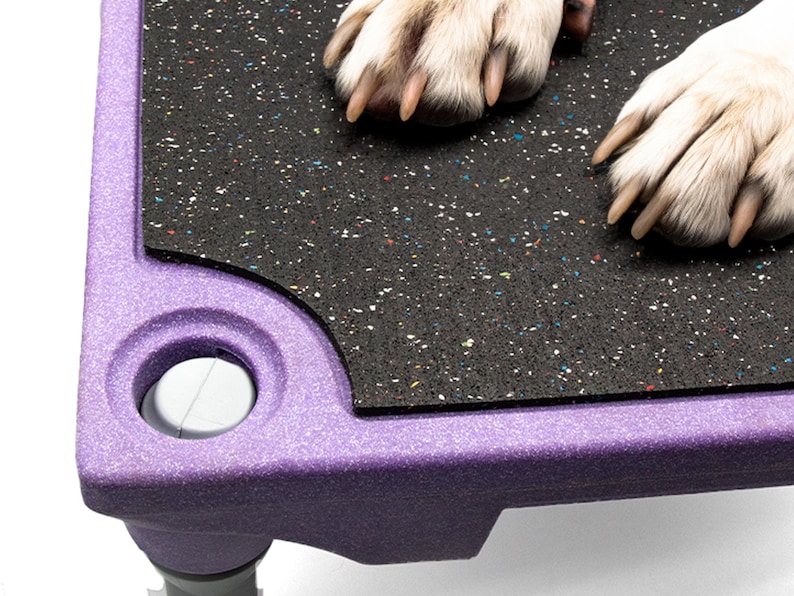 Puede incluir: Cama para perro de color morado con una parte superior de goma negra y una perilla de pl&aacute;stico blanco. La cama tiene una superficie texturizada y est&aacute; dise&ntilde;ada para mascotas.