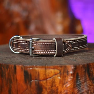 1 1/4&quot; wide Latigo Leather Agitation Dog Collar