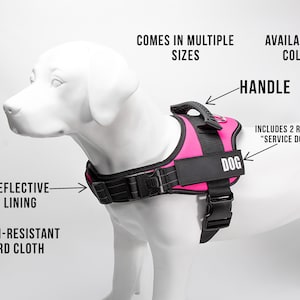 Colete para cães de trabalho da Leerburg