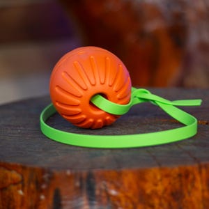 May include: Orange rubber dog toy with a green strap. The toy has a textured surface and a hole in the center.