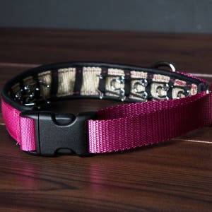 Hidden Prong collar with Snap NEW COLORS image 4