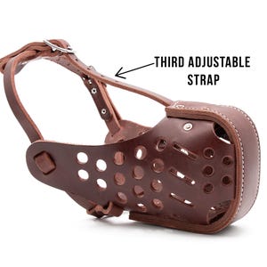 Puede incluir: Bozal de cuero marrón para perro con una tercera correa ajustable. El bozal tiene un diseño perforado y se asegura con una hebilla.