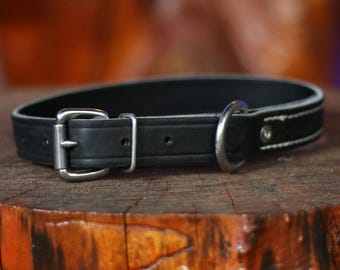 2,5 cm Latigo läderhalsband för hund