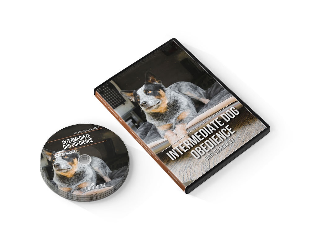 Intermediate Dog Obedience DVD Leerburg