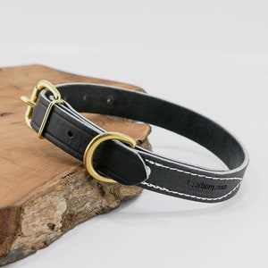 1&quot; Flat Latigo Leather Dog Collar - BRASS Hardware By Leerburg