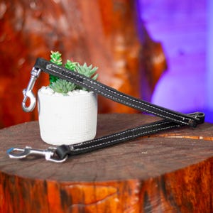 Two Dog Lead SS Hardware by Leerburg