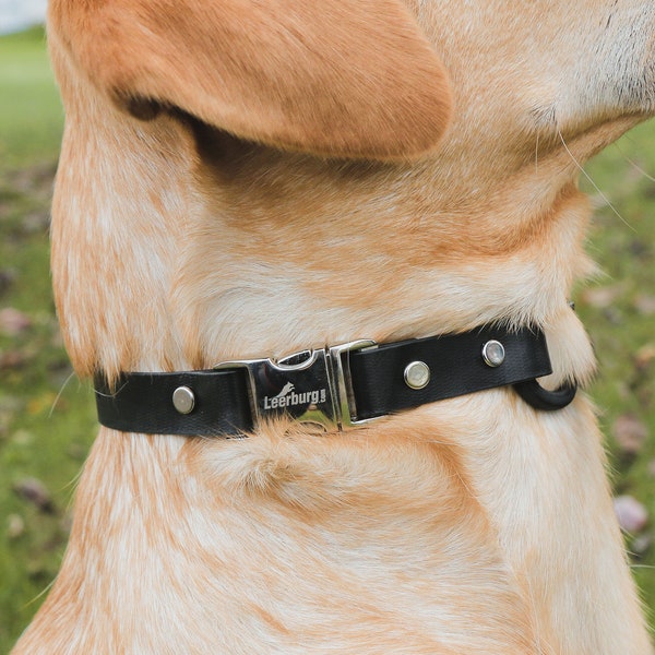 Leerburg Quick Snap Bungee Collar