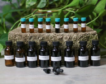 Nosework Scent Oils - Anise, Sweet Birch, Clove, Cypress, Myrrh, Pine, Vetiver, Wintergreen