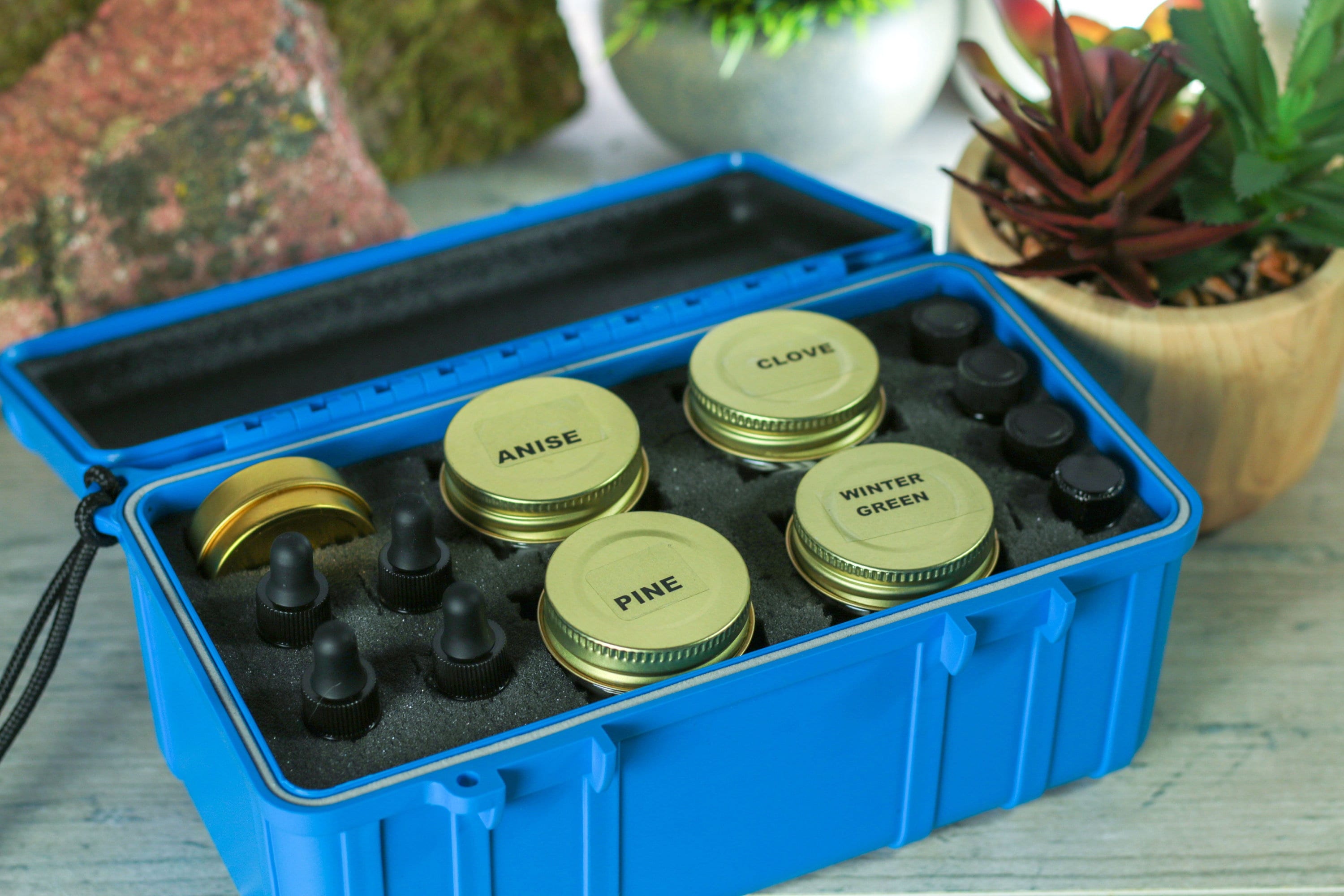 Scent clearance training kit