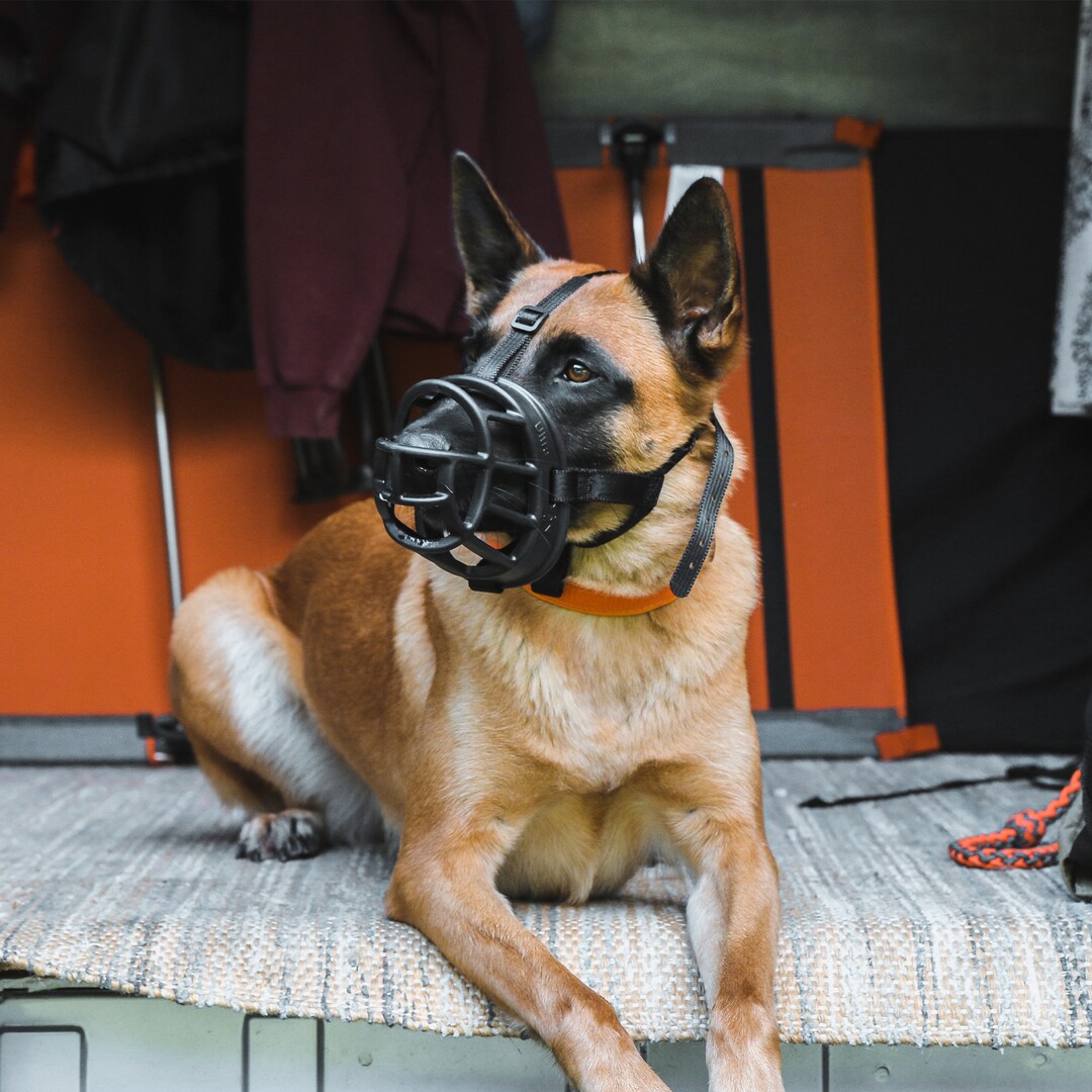 rubber basket muzzle