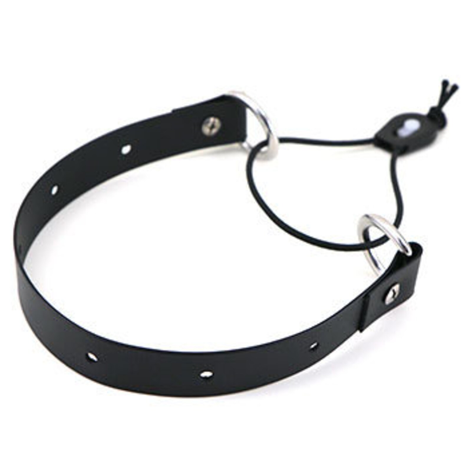 Leerburg Easy on Collar for Electronic Collar Etsy