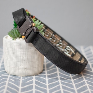 Keeper Collar Hidden Prong Collar with Cobra Buckle