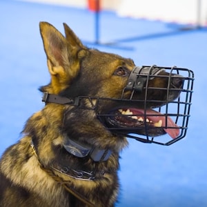 Polymer Coated Wire Muzzle - Muzzle 31 sizes