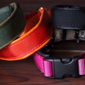 Hidden Prong collar with Snap NEW COLORS image 2