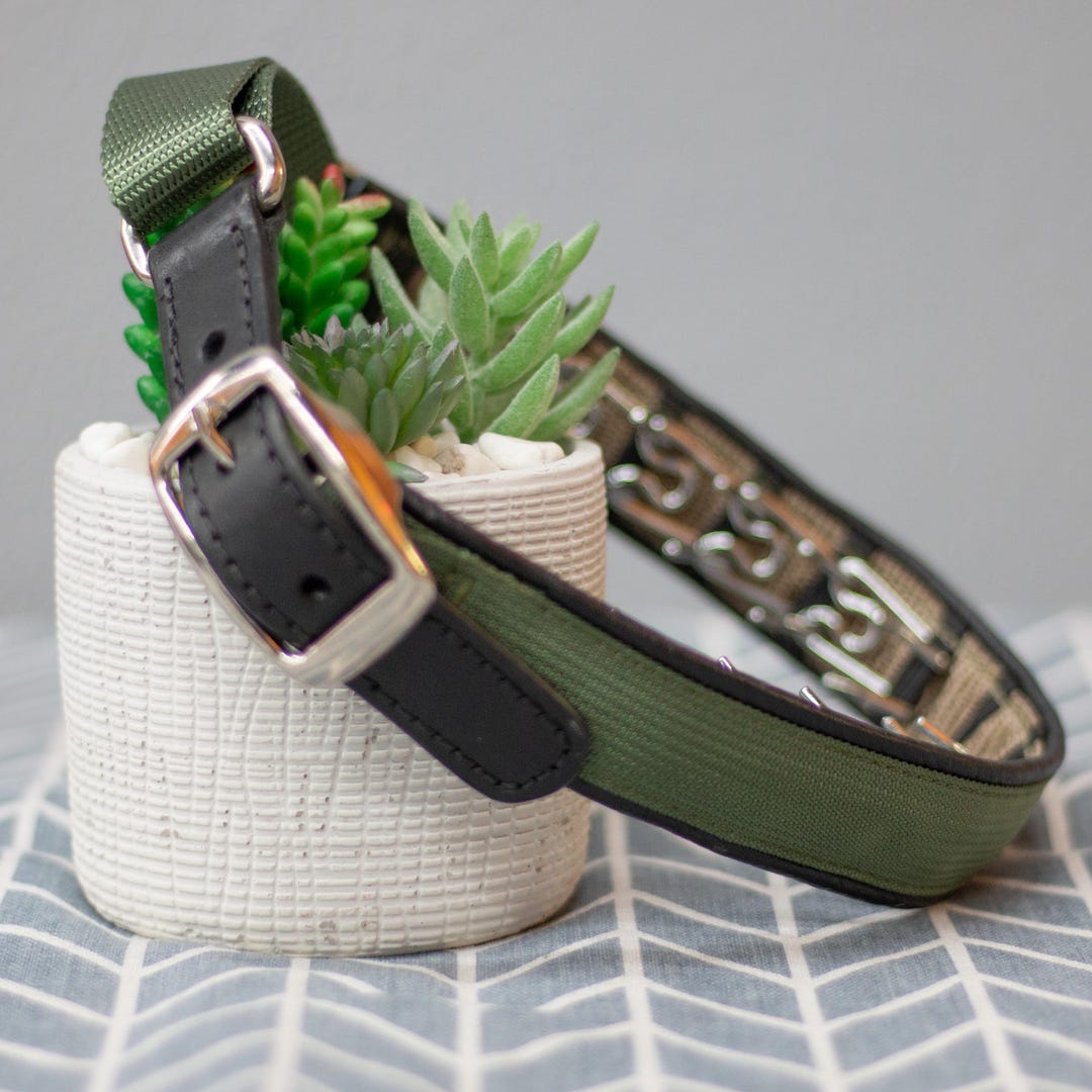 Keeper Collar HIDDEN PRONG With Leather Strap From Leerburg Australia