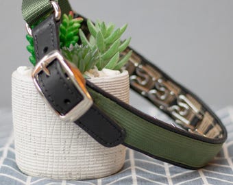 Keeper Collar HIDDEN PRONG with Leather Strap From Leerburg
