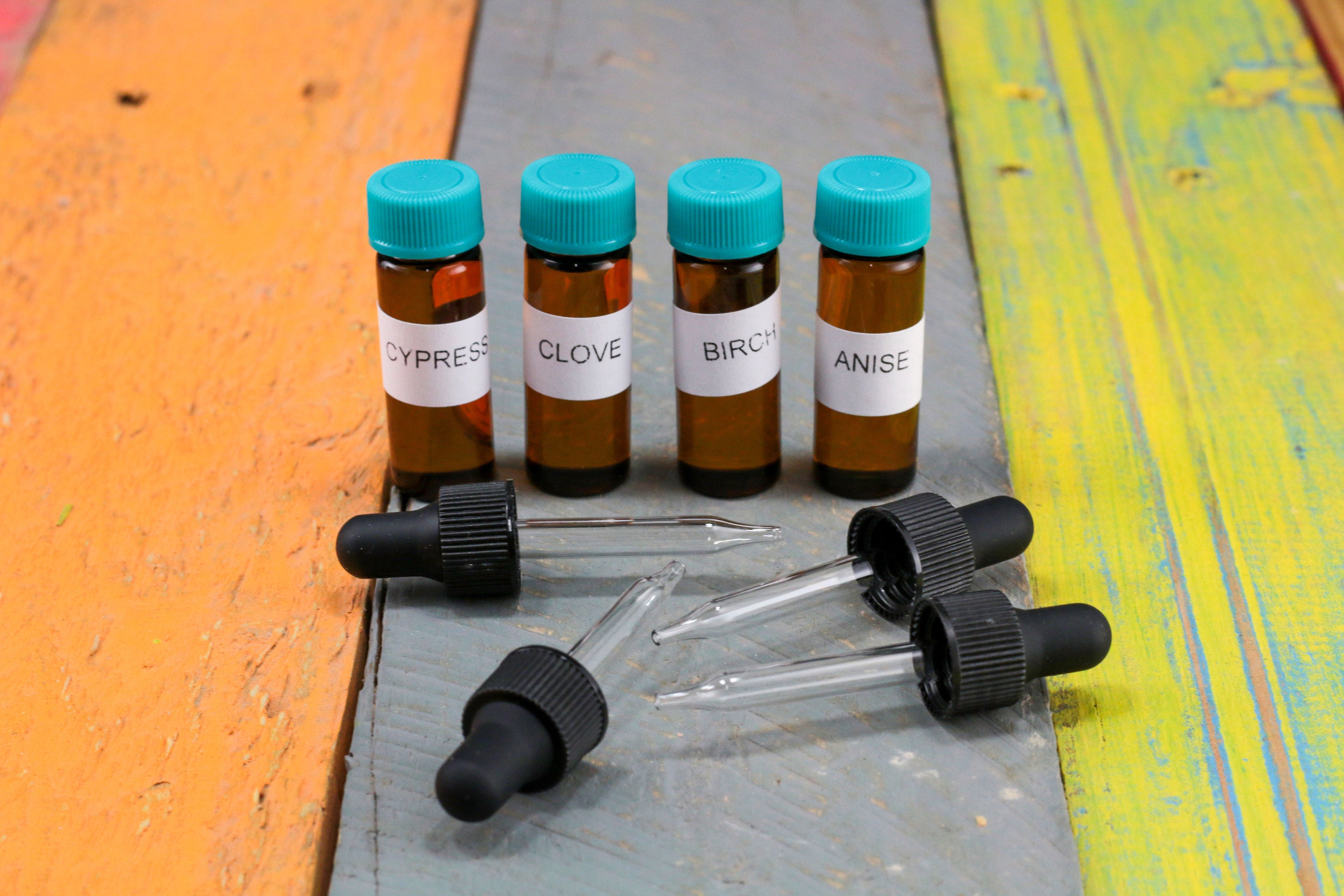 Nosework Kit-Essential Oils Scent Kit  Dog Scent Training - J&J Dog  Supplies
