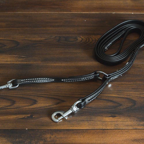 Biothane Prong Collar Leash Etsy