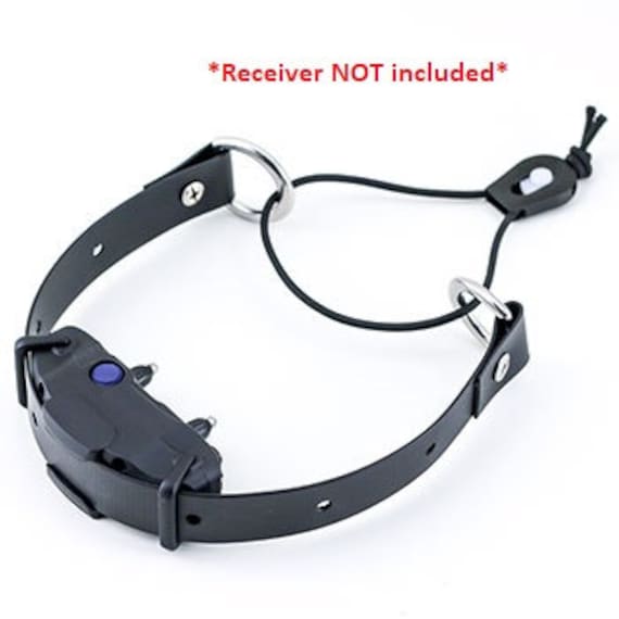 Leerburg e cheap collar