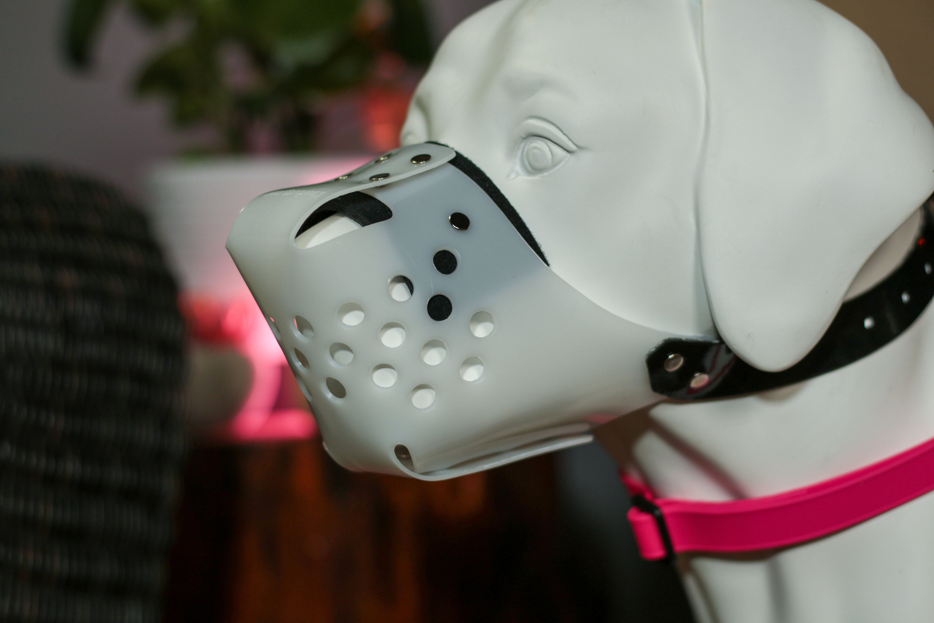 Jafco Muzzle Canada atelieryuwa.ciao.jp