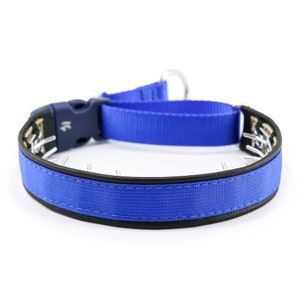 Hidden Prong collar with Snap NEW COLORS image 3