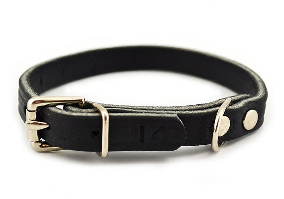 1/2 Wide Latigo Leather Puppy or Small Dog Collar - Etsy