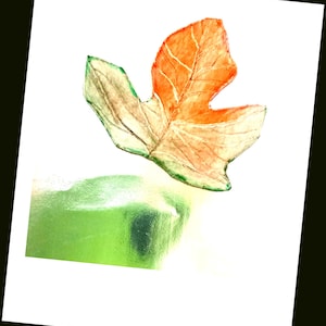 Könnte beinhalten: Aquarellmalerei eines Blattes mit orangefarbenen und grünen Farbtönen. Das Blatt ist der Mittelpunkt, vor einem weißen Hintergrund. Der Text "ARTGALLERY29" ist oben rechts zu sehen.