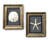 Shell Art, Beach Decor Wall Art, Nautical Decor, Beach Decor, Coastal Decor, Beach Wall Art, Beach Wall Decor, Coastal Wall Art