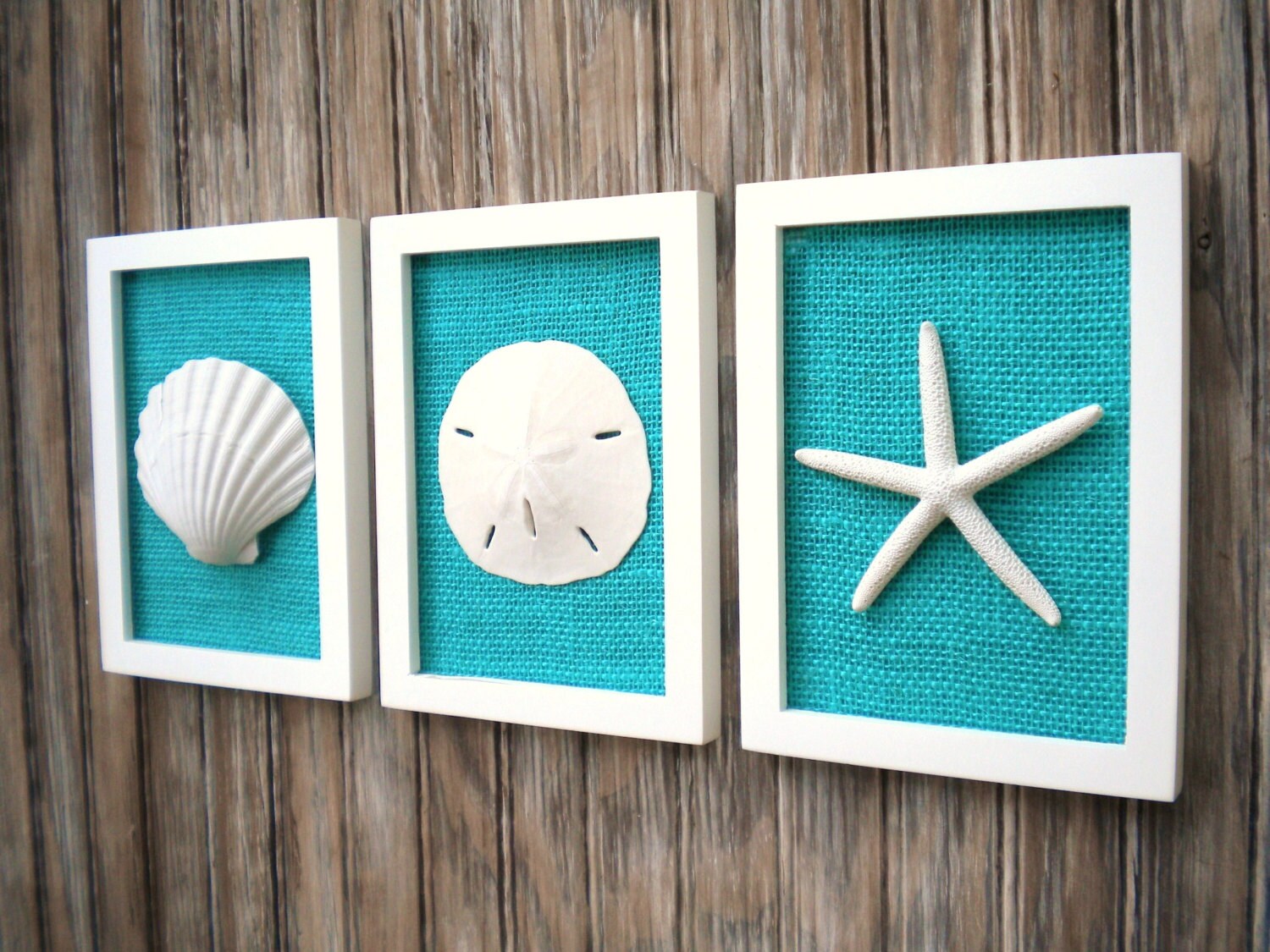 Cottage Chic Set of Beach Wall Art Sea Shells Home Decor ...